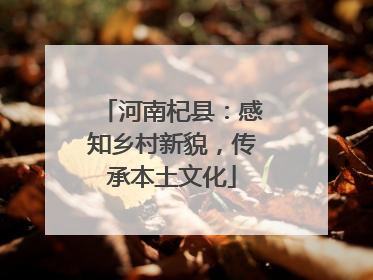 河南杞县：感知乡村新貌，传承本土文化