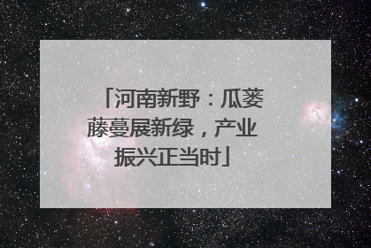 河南新野：瓜蒌藤蔓展新绿，产业振兴正当时
