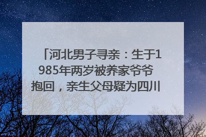 河北男子寻亲：生于1985年两岁被养家爷爷抱回，亲生父母疑为四川仪陇人｜红星寻人