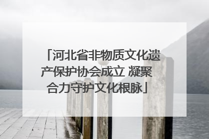 河北省非物质文化遗产保护协会成立 凝聚合力守护文化根脉