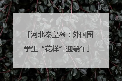 河北秦皇岛：外国留学生“花样”迎端午
