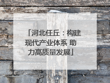 河北任丘：构建现代产业体系 助力高质量发展