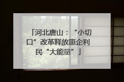 河北唐山：“小切口”改革释放惠企利民“大能量”