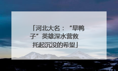 河北大名：“旱鸭子”英雄深水营救 托起沉没的希望