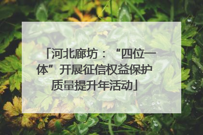 河北廊坊：“四位一体”开展征信权益保护质量提升年活动