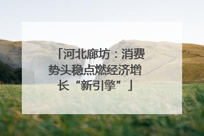 河北廊坊：消费势头稳点燃经济增长“新引擎”
