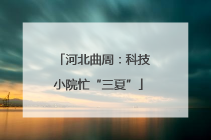 河北曲周：科技小院忙“三夏”