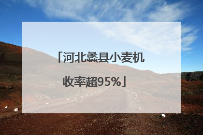 河北蠡县小麦机收率超95%