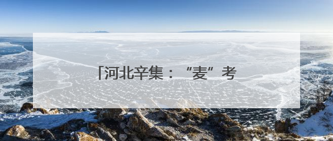 河北辛集：“麦”考生实收测产创新高