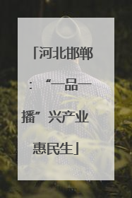 河北邯郸：“一品一播”兴产业惠民生