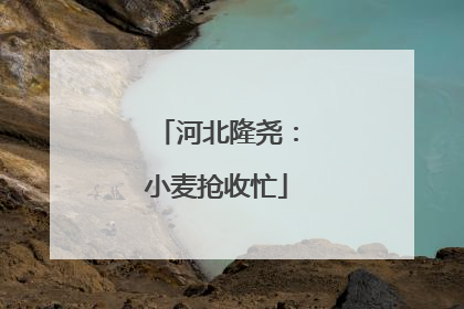 河北隆尧：小麦抢收忙