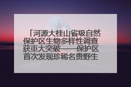 河源大桂山省级自然保护区生物多样性调查获重大突破——保护区首次发现珍稀名贵野生干巴菌与钝尾两头蛇