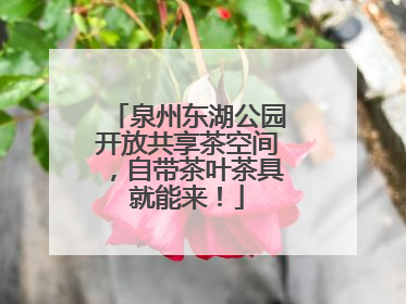 泉州东湖公园开放共享茶空间，自带茶叶茶具就能来！