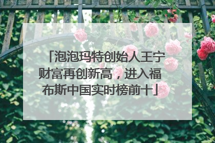泡泡玛特创始人王宁财富再创新高，进入福布斯中国实时榜前十