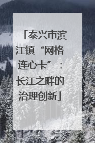 泰兴市滨江镇“网格连心卡”：长江之畔的治理创新