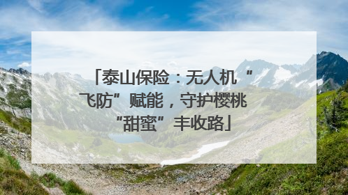 泰山保险：无人机“飞防”赋能，守护樱桃“甜蜜”丰收路