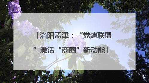 洛阳孟津：“党建联盟”激活“商圈”新动能