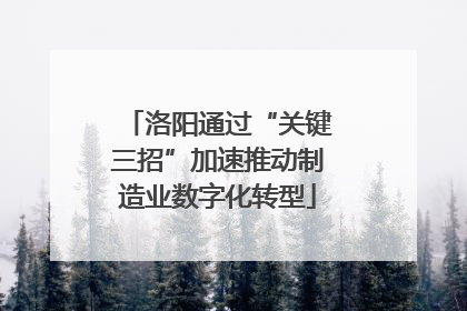 洛阳通过“关键三招”加速推动制造业数字化转型