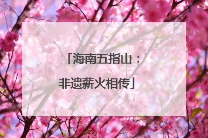 海南五指山：非遗薪火相传