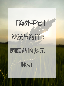 海外手记丨沙漠与海洋：阿联酋的多元脉动