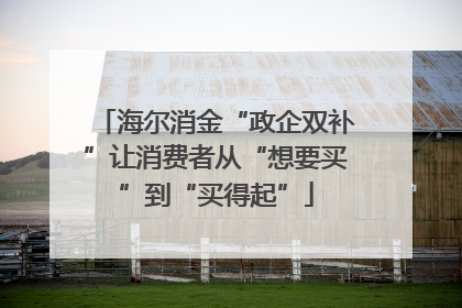 海尔消金“政企双补”让消费者从“想要买”到“买得起”