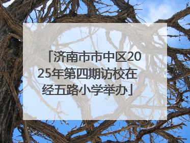 济南市市中区2025年第四期访校在经五路小学举办