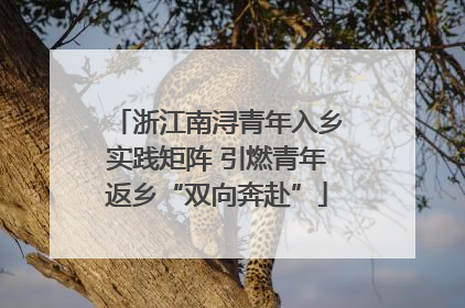 浙江南浔青年入乡实践矩阵 引燃青年返乡“双向奔赴”