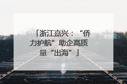 浙江嘉兴：“侨力护航”助企高质量“出海”