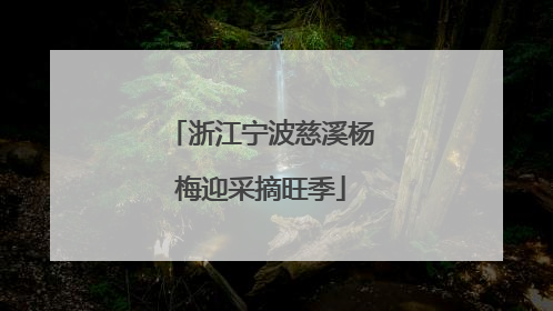 浙江宁波慈溪杨梅迎采摘旺季