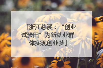 浙江慈溪：“创业试验田”为新就业群体实现创业梦