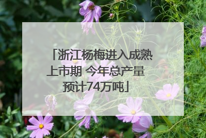 浙江杨梅进入成熟上市期 今年总产量预计74万吨