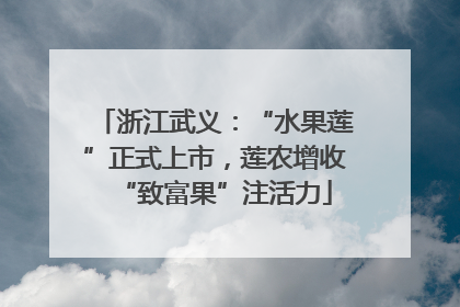 浙江武义：“水果莲”正式上市，莲农增收“致富果”注活力