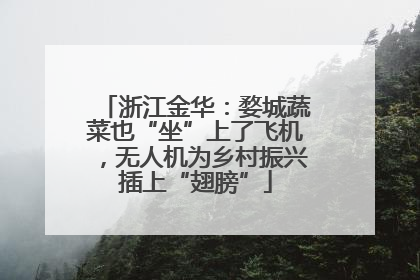 浙江金华：婺城蔬菜也“坐”上了飞机，无人机为乡村振兴插上“翅膀”