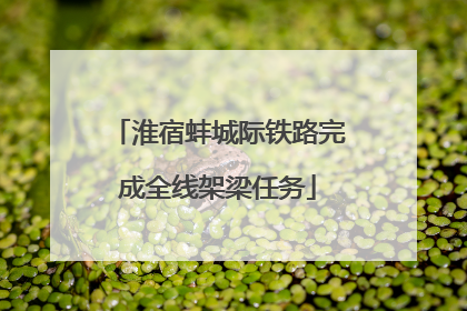 淮宿蚌城际铁路完成全线架梁任务