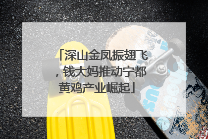 深山金凤振翅飞，钱大妈推动宁都黄鸡产业崛起