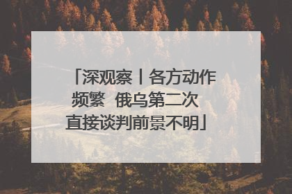深观察丨各方动作频繁  俄乌第二次直接谈判前景不明