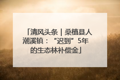 清风头条｜桑植县人潮溪镇：“迟到”5年的生态林补偿金