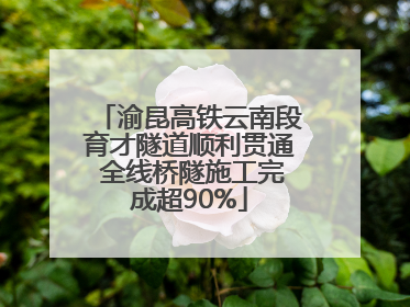 渝昆高铁云南段育才隧道顺利贯通 全线桥隧施工完成超90%