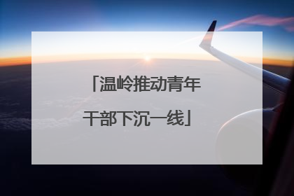 温岭推动青年干部下沉一线