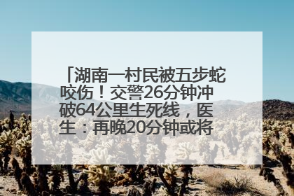 湖南一村民被五步蛇咬伤！交警26分钟冲破64公里生死线，医生：再晚20分钟或将呼吸肌麻痹