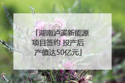 湖南泸溪新能源项目签约 投产后产值达50亿元
