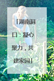 湖南洞口：凝心聚力，共建家园