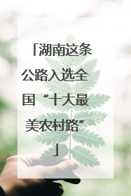 湖南这条公路入选全国“十大最美农村路”