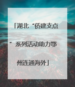 湖北“侨建支点”系列活动助力鄂州连通海外