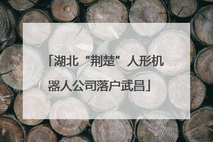 湖北“荆楚”人形机器人公司落户武昌