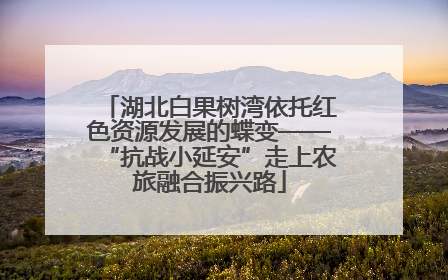 湖北白果树湾依托红色资源发展的蝶变——“抗战小延安”走上农旅融合振兴路