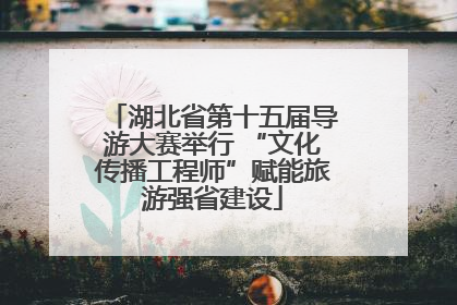 湖北省第十五届导游大赛举行 “文化传播工程师”赋能旅游强省建设