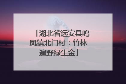 湖北省远安县鸣凤镇北门村：竹林遍野绿生金