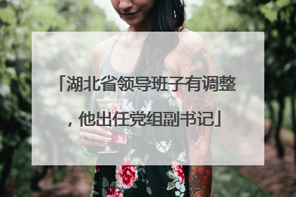 湖北省领导班子有调整，他出任党组副书记
