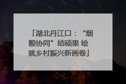 湖北丹江口：“烟粮协同”结硕果 绘就乡村振兴新画卷